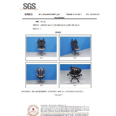 SGS测试报告
