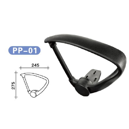 PP-01